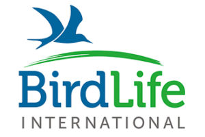 birdlife-international-pacific